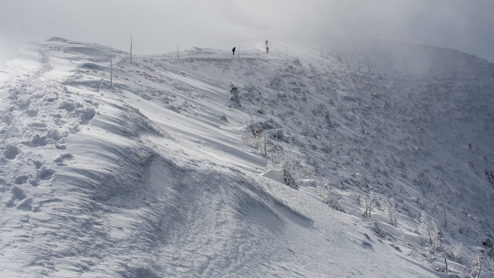  A ja myślałem, że jestem sam