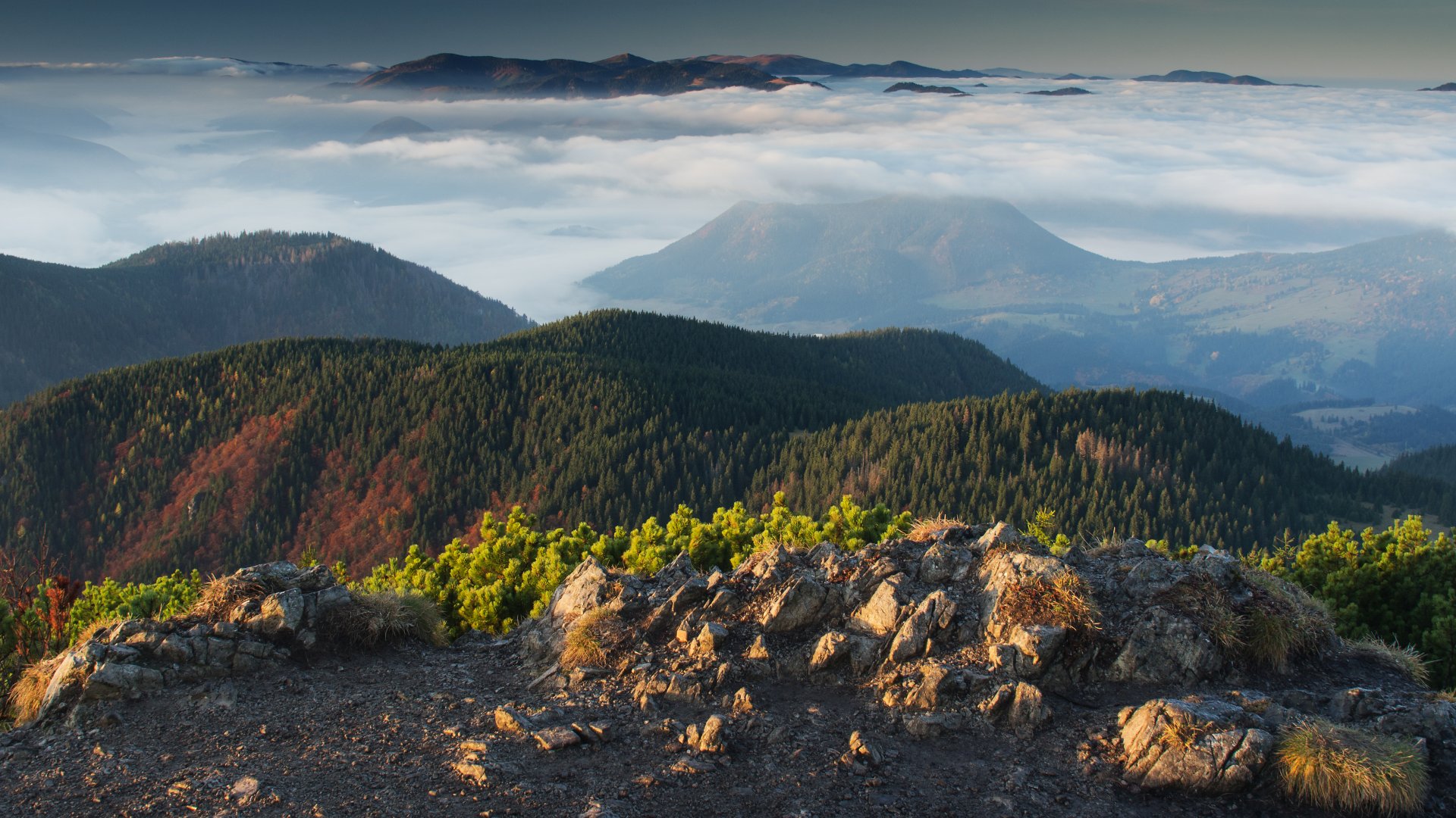  Powoli mgła zaczyna ustępować i - o dziwo! - coś tam jednak pod spodem jest!