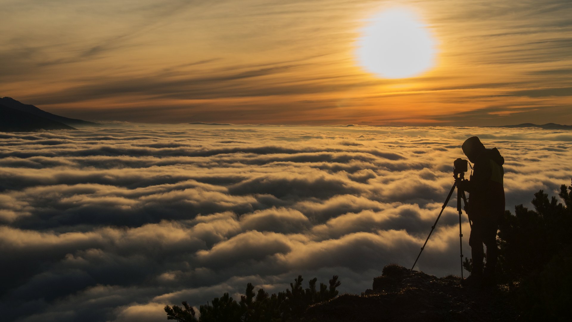  Fotograficzna brać dzisiaj dopisała