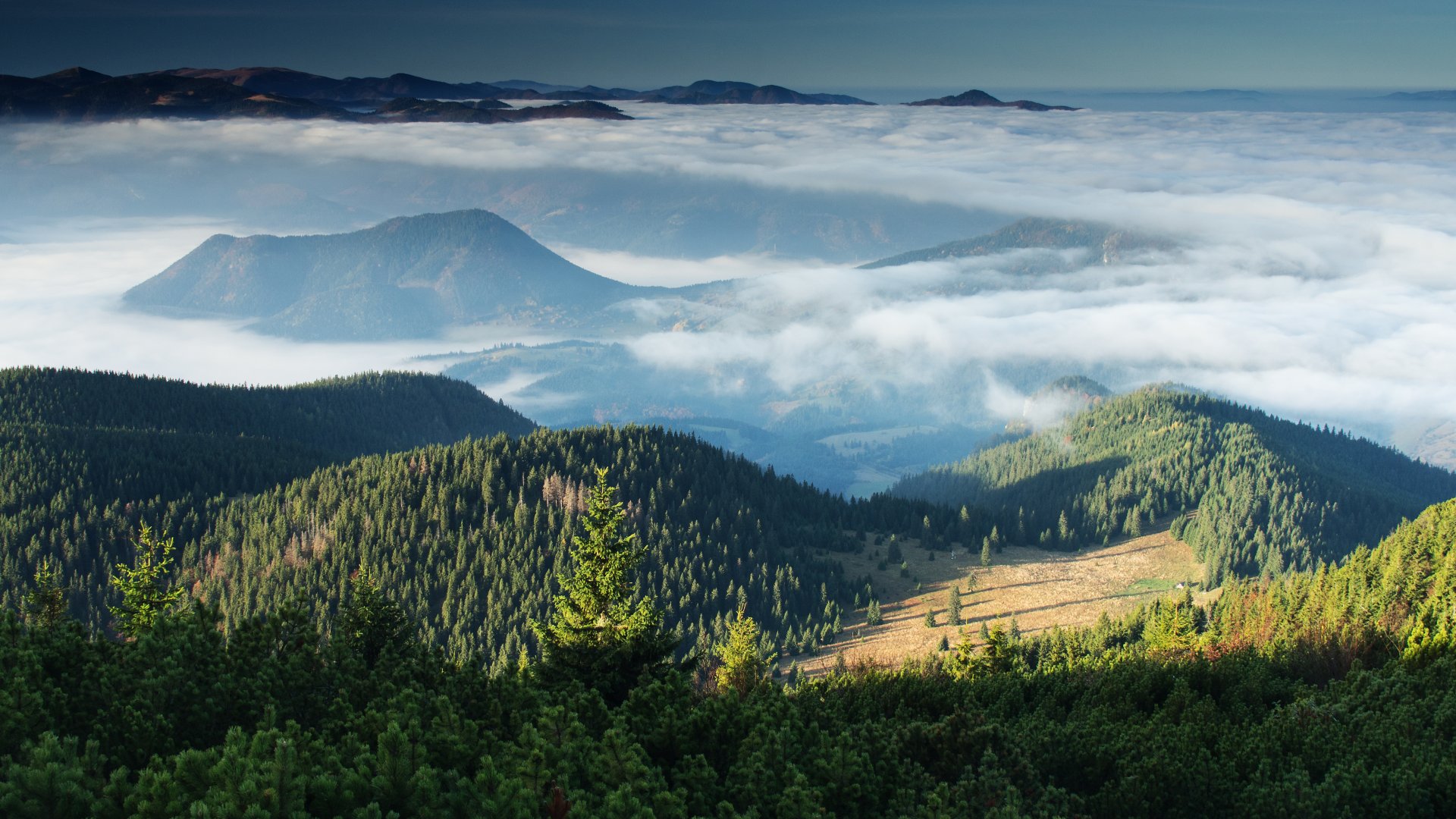  W dole, na pierwszym planie Pośrednia Polana