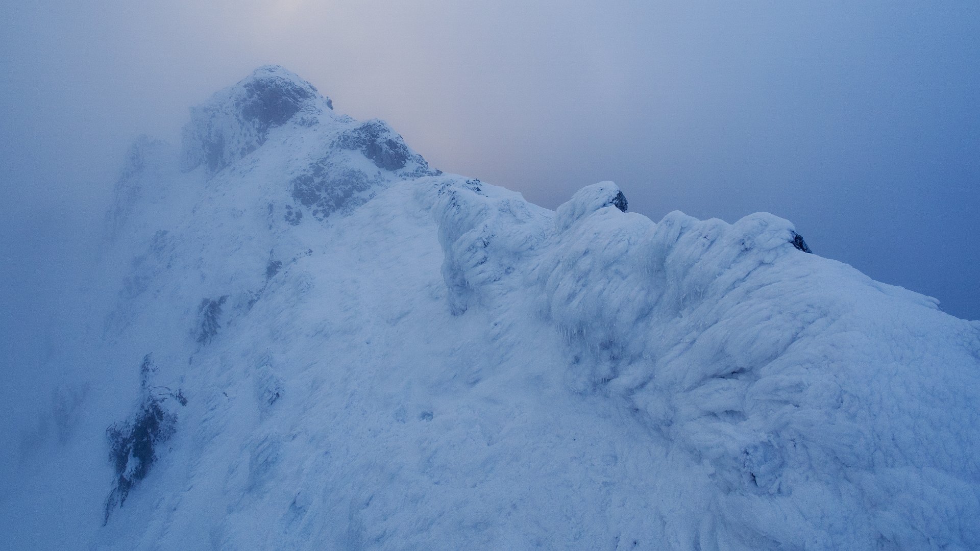  Nie pozostaje nic innego...