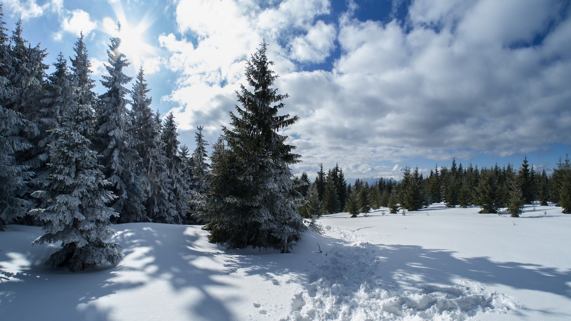 Zimowa wersja szlaku na szczyt Wielkiego Chocza