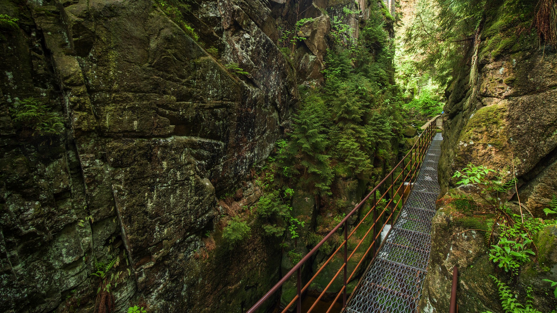 Wąwóz Kamieńczyka