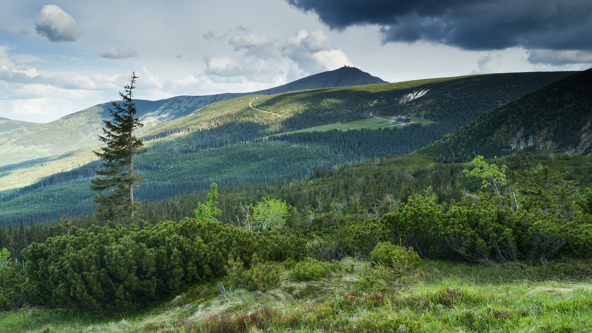 W drodze na grzbiet Karkonoszy
