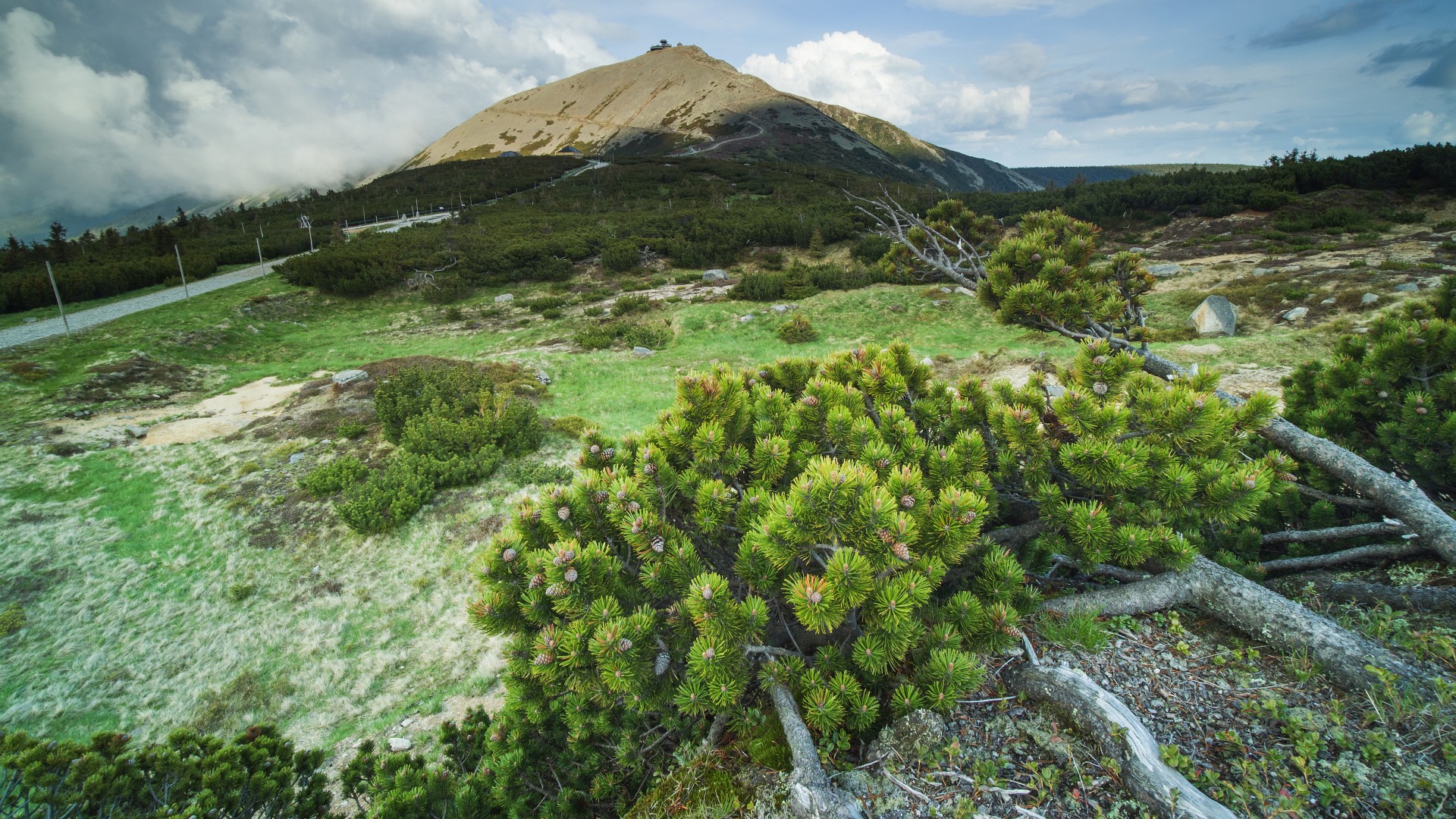 Równia pod Śnieżką